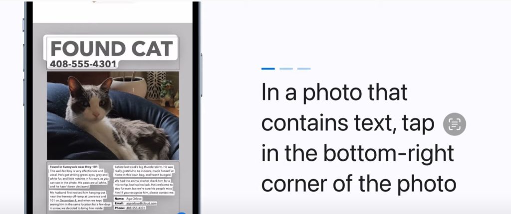 iOS 15 : comment utiliser Live Text pour copier et coller du texte à partir de photos